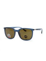 عینک آفتابی پلاریزه ری‌بن ویفرر Visiorra Wayfarer مدل SG-RB4386 - Image 4